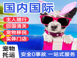 温州龙湾机场托运国际宠物托运 【国